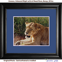 Lioness, Unbound Might - Phograph taken at Masai Mara, Kenya, Africa