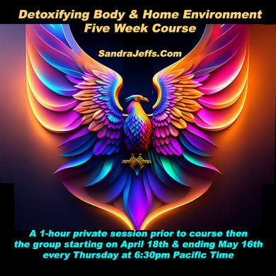 Detoxing the Body and the Home Environment - 5 Week Course