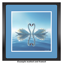 White Swans Forming Heart - Great Feng Shui for Love