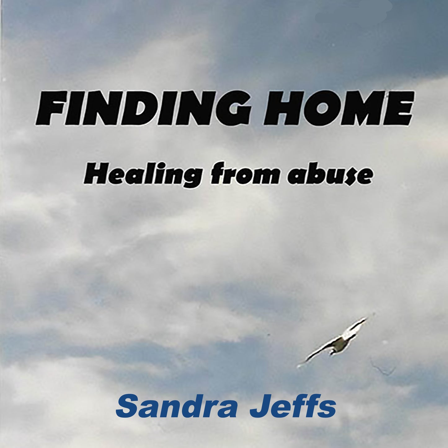 Finding Home: Healing from Abuse - Book