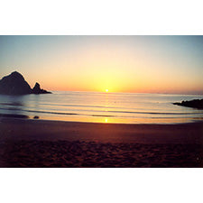 Golden Horizon Whisper Photo Print