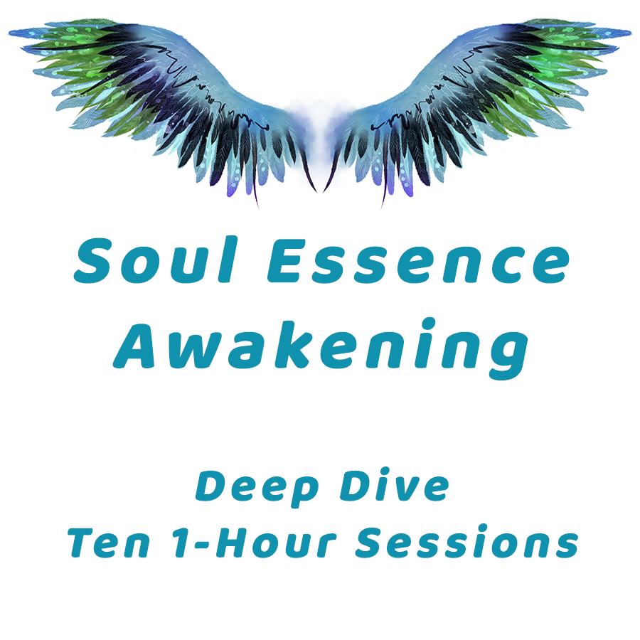 Soul Essence Awakening - Deep Dive -  Eleven 1-Hour Sessions