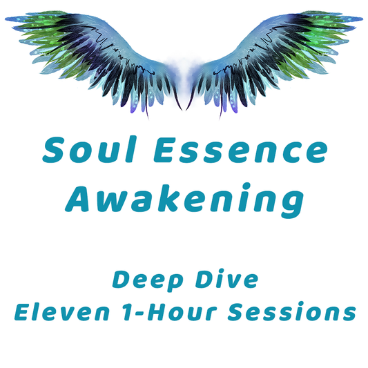 Soul Essence Awakening - Deep Dive -  Eleven 1-Hour Sessions